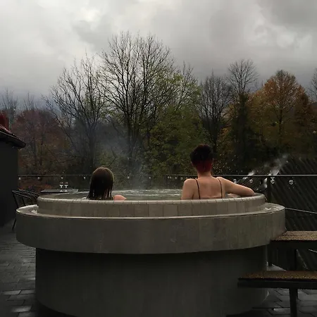 בית נופש Mini Polonyna