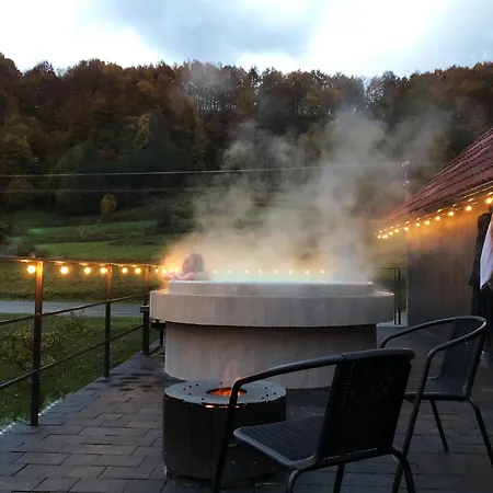 בית נופש Mini Polonyna *