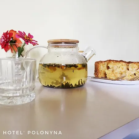 בית נופש Mini Polonyna *